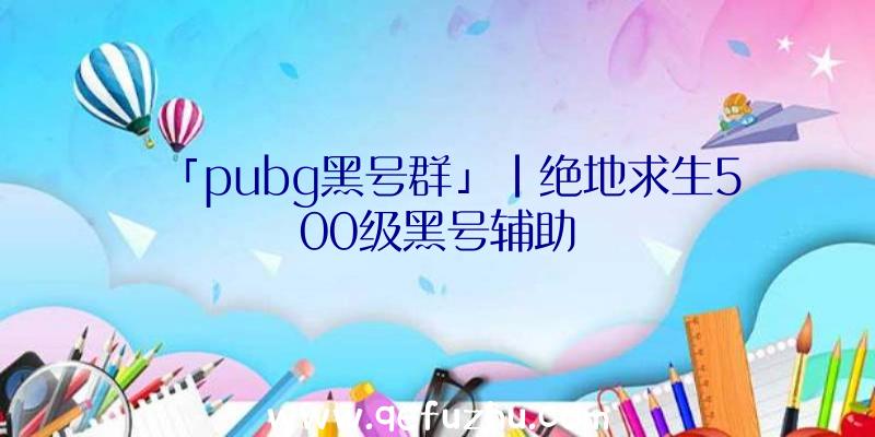 「pubg黑号群」|绝地求生500级黑号辅助